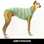 Crazy Greyhound Ladies Greyhound Sleeveless Hound-Tee