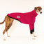 Caboose Greyhound Long Sleeve Tweater