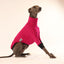 Caboose Whippet Long Sleeve Tweater