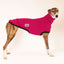 Caboose Greyhound Sleeveless Tweater