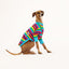 Candy Italian Greyhound Long Sleeve Hound-Tee