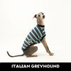 Chaos Goblin Italian Greyhound Sleeveless Hound-Tee