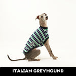 Chaos Goblin Italian Greyhound Sleeveless Hound-Tee LARGE ONLY