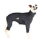 Liquorish Twist Whippet Snootsuit