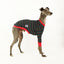 Christmas Lights Whippet Long Sleeve Hound-Tee