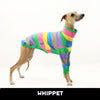 Coco Whippet Long Sleeve Tweater