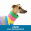 Coco Italian Greyhound Sleeveless Tweater