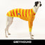 Cococabana Greyhound Long sleeve Hound-Tee SMALL ONLY