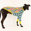 Crazy Kitty Greyhound Long Sleeve Hound-Tee