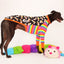 Cuddlepillar Greyhound Long Sleeve Hound-Tee