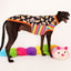Cuddlepillar Greyhound Sleeveless Hound-Tee