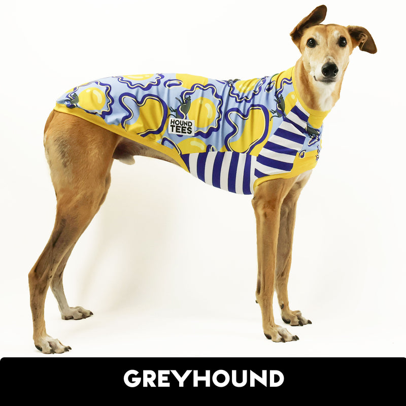 Eggy Greyhound Sleeveless Hound-Tee