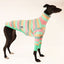 Fairy Floss Greyhound Long Sleeve Tweater