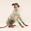 Fairy Floss Whippet Long Sleeve Tweater