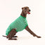 Salad Bar Whippet Sleeveless Hound-Tee