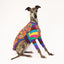 Flower Bomb Whippet Long Sleeve Hound-Tee