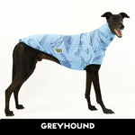 Love Dogs Blue Greyhound Sleeveless Tweater