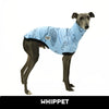 Love Dogs Blue Whippet Sleeveless Tweater
