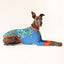 Folk Birbs Whippet Long Sleeve Hound-Tee