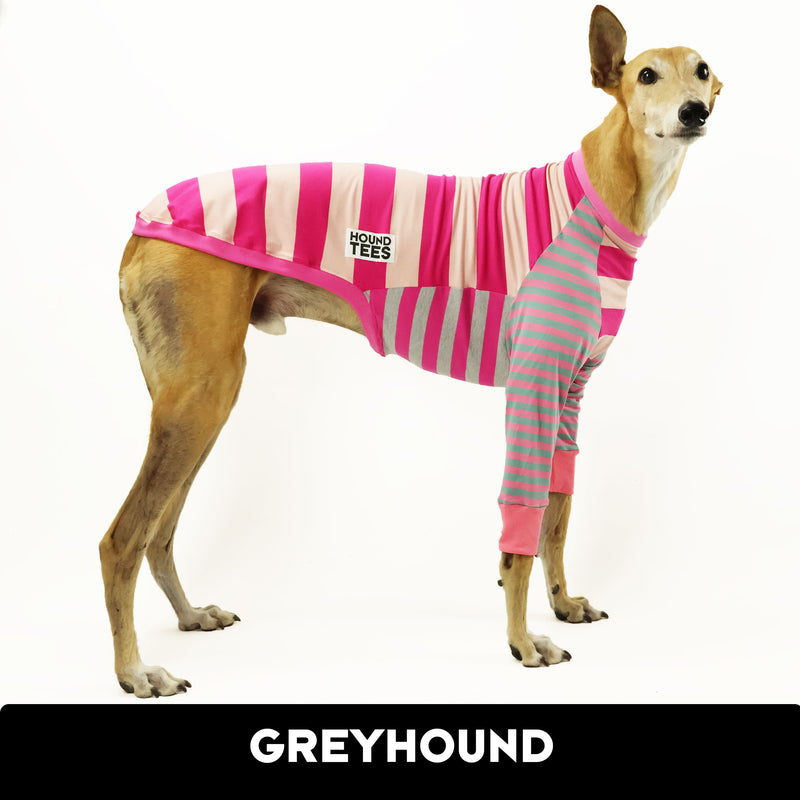 Limited Edition Frankie Pinkie Long Sleeve Greyhound Hound-Tee