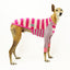 Frankie Pinkie Long Sleeve Greyhound Hound-Tee