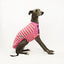 Frankie Pinkie Sleeveless Whippet Hound-Tee