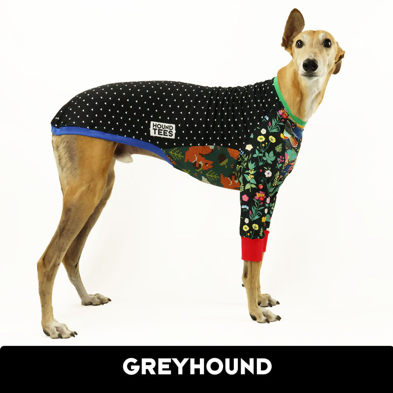 Limited Edition Frankie Print Long Sleeve Greyhound Hound-Tee