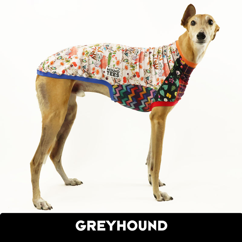 Limited Edition Frankie Print Sleeveless Greyhound Hound-Tee