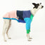 Frankie Jester Greyhound Sweater