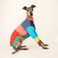 Frankie Jester Whippet Sweater
