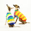 Frankie Italian Greyhound Long Sleeve Hound-Tee