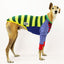 Frankie Greyhound Long Sleeve Hound-Tee