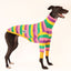 Fruit Salad Greyhound Long Sleeve Tweater