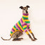 Fruit Salad Whippet Long Sleeve Tweater