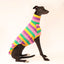Fruit Salad Greyhound Sleeveless Tweater