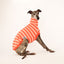 Galah Whippet Long Sleeve Tweater
