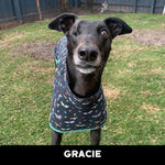 Gracie Greyhound Sleeveless Hound-Tee