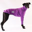Grape Greyhound Long Sleeve Tweater