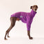 Grape Whippet Long Sleeve Tweater