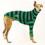 Green Rugby Greyhound Long Sleeve Tweater