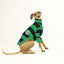 Green Rugby Italian Greyhound Long Sleeve Tweater