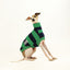 Green Rugby Italian Greyhound Sleeveless Tweater