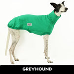 Avocado Greyhound Sleeveless Sweater