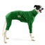 Apple Chew Greyhound Snootsuit
