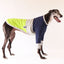 The Fluro Green Tradee Greyhound Sweater