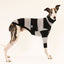 Big Cheeze Whippet Long Sleeve Tweater in grey fat stripes, first product view