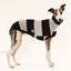 Big Cheeze Whippet Sleeveless Tweater in grey fat stripes, first product view