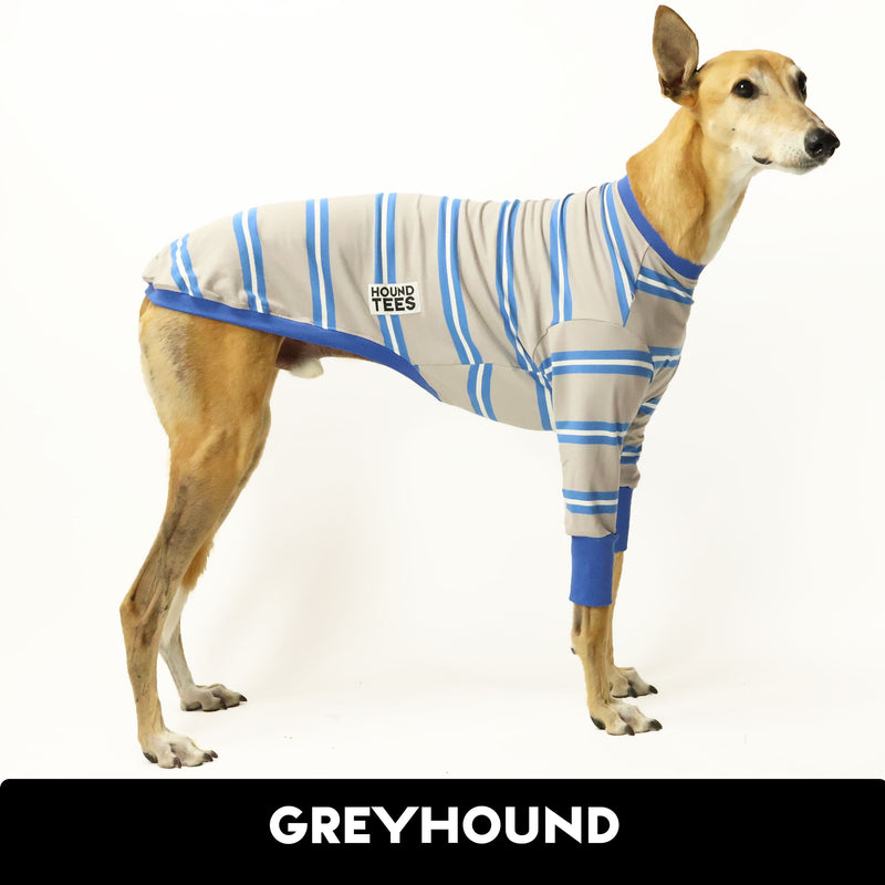 Greyts With Sass Greyhound Long Sleeve Hound-Tee
