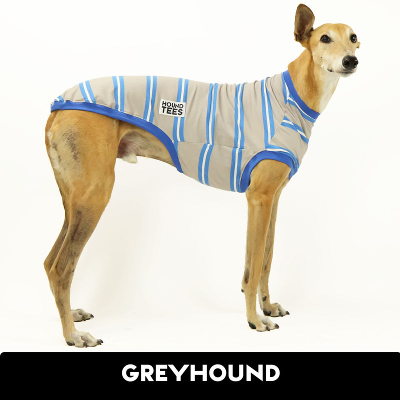 Greyts With Sass Greyhound Sleeveless Hound-Tee
