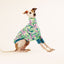 Lava Lamp Italian Greyhound Long Sleeve Hound-Tee